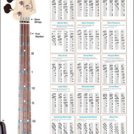 Bass Scale Wall Chart