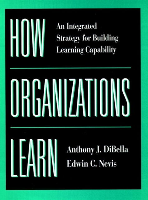 How Organizations Learn