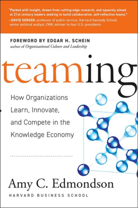 Teaming: How Organizations Learn, Innovate, and Compete in the Knowledge Economy