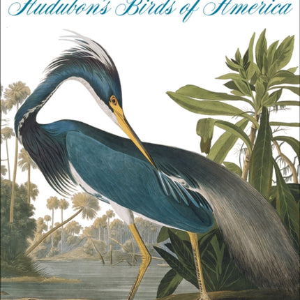 Audubon's Birds of America: The National Audubon Society Baby Elephant Folio