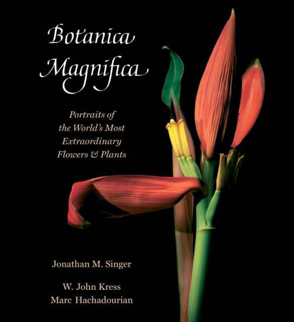 Botanica Magnifica: Portraits of the World's Most Extraordinary Flowers and Plants