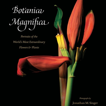 Botanica Magnifica: Portraits of the World's Most Extraordinary Flowers and Plants