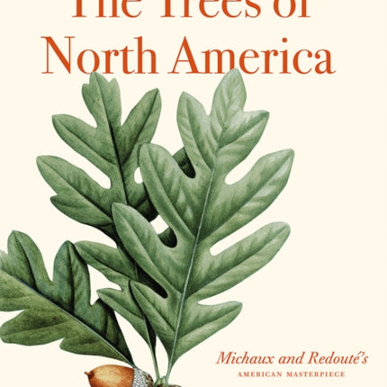 The Trees of North America: Michaux and Redouté's American Masterpiece