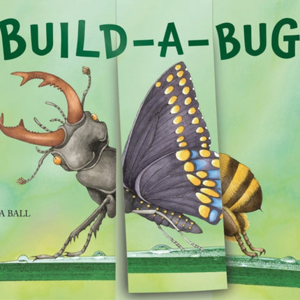 Build-a-Bug