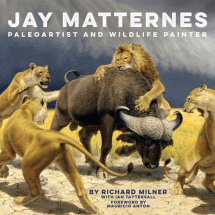 Jay Matternes