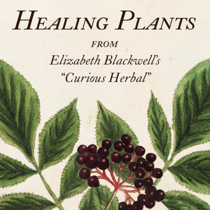 Healing Plants