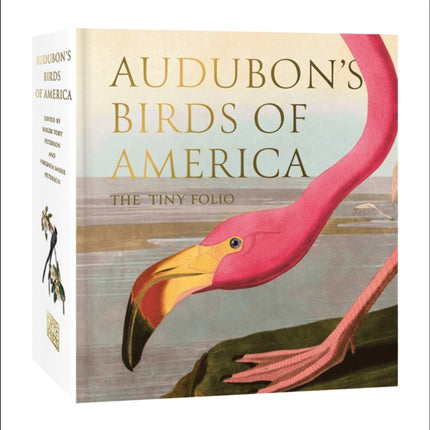 Audubons Birds of America