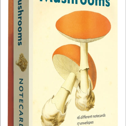 Mushrooms Detailed Notecard Set