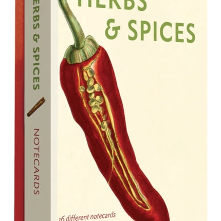 Herbs and Spices Detailed Notecard Set: Detailed Notes