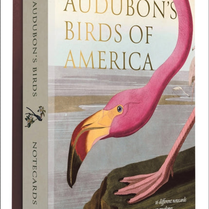 Audubons Birds of America