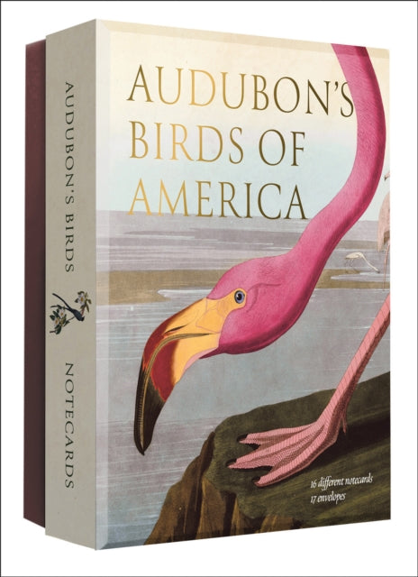 Audubons Birds of America