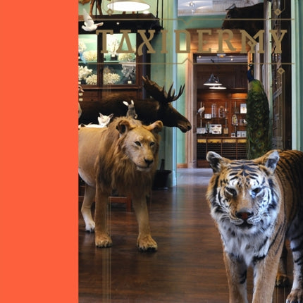 Taxidermy
