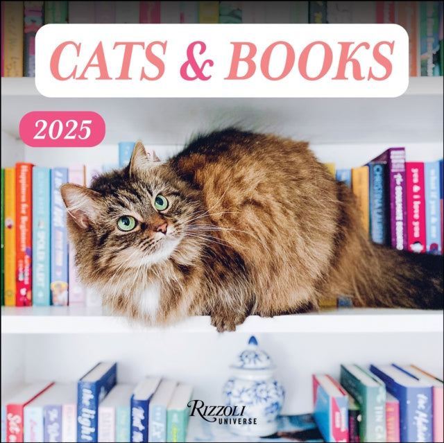 Cats  Books 2025 Wall Calendar