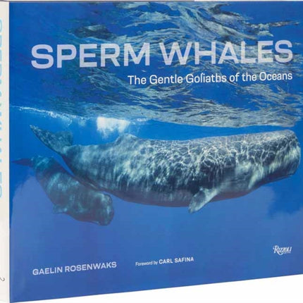Sperm Whales
