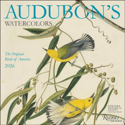 Audubonâs Watercolors 2026 Wall Calendar