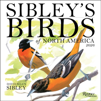 Sibleys Birds of North America 2026 Wall Calendar
