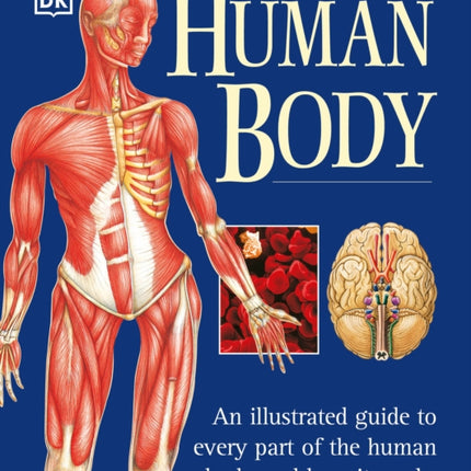 The Human Body An Illustrated Guide to Every Part