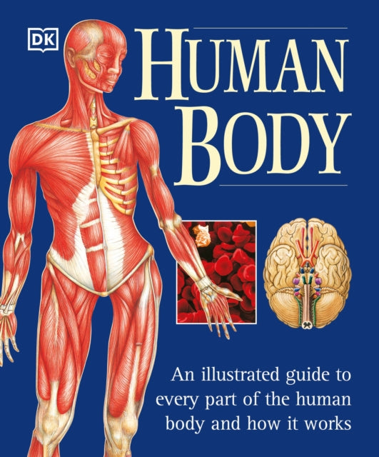 The Human Body An Illustrated Guide to Every Part