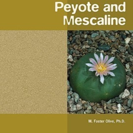 Peyote and Mescaline Drugs The Straight Facts