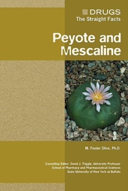 Peyote and Mescaline Drugs The Straight Facts