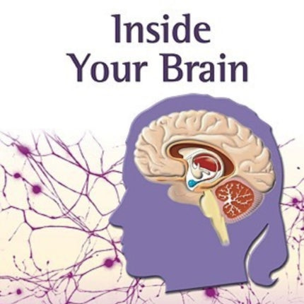 Inside Your Brain