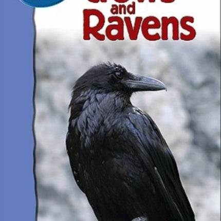 Ravens and Crows Nature Walk