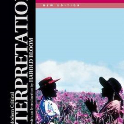 Alice Walkers the Color Purple Modern Critical