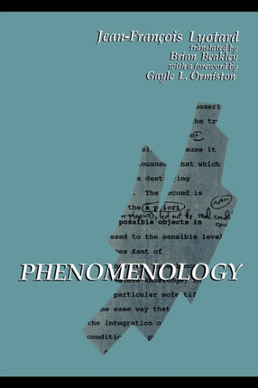 Phenomenology Suny Series in Contemporary