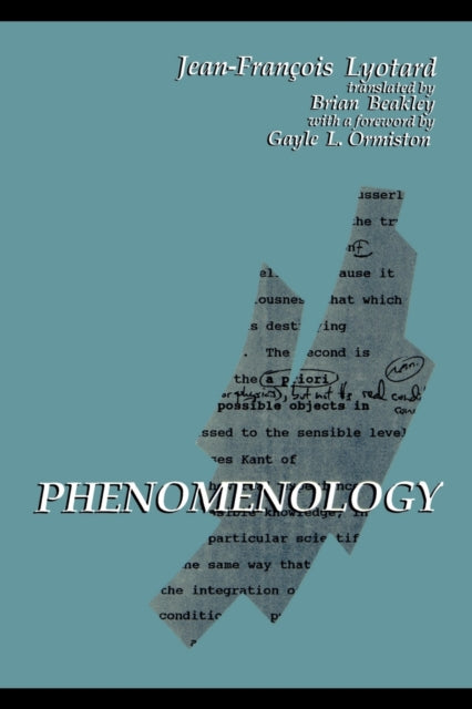 Phenomenology Suny Series in Contemporary