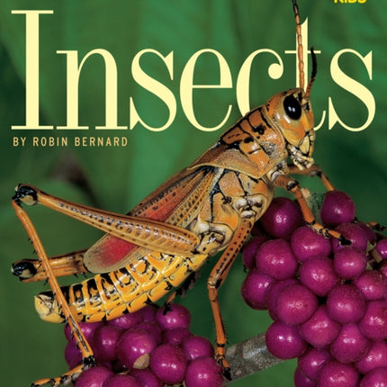 Insects