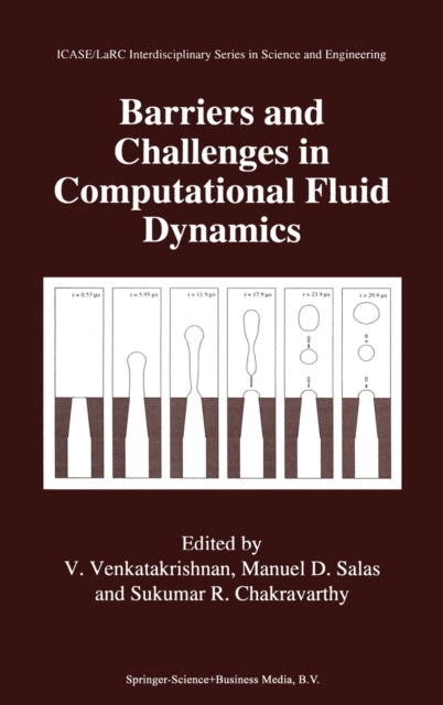 Barriers and Challenges in Computational Fluid Dynamics