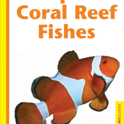 Handy Pocket Guide to Tropical Coral Reef Fishes