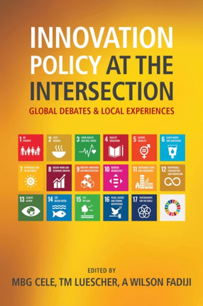 Innovation Policy at the Intersection: Global Debates and Local Experiences