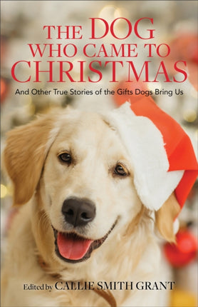 The Dog Who Came to Christmas – And Other True Stories of the Gifts Dogs Bring Us