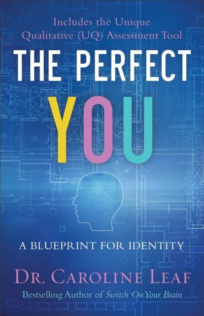 The Perfect You – A Blueprint for Identity