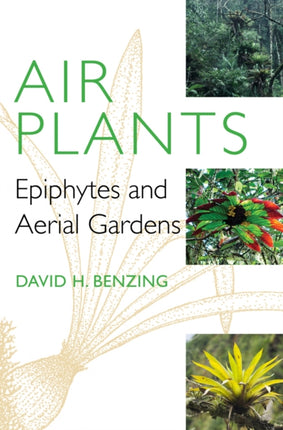 Air Plants: Epiphytes and Aerial Gardens