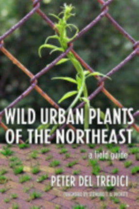 Wild Urban Plants of the Northeast: A Field Guide