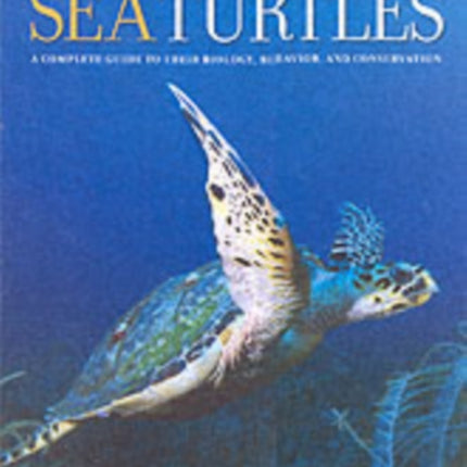 Sea Turtles: A Complete Guide to Their Biology, Behavior, and Conservation