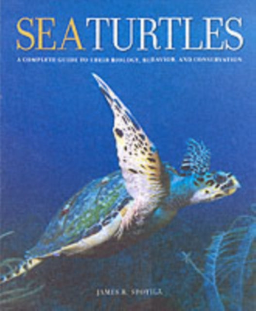 Sea Turtles: A Complete Guide to Their Biology, Behavior, and Conservation