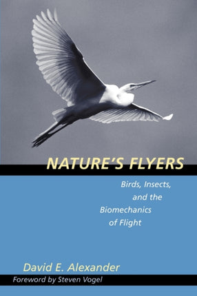 Nature's Flyers: Birds, Insects, and the Biomechanics of Flight