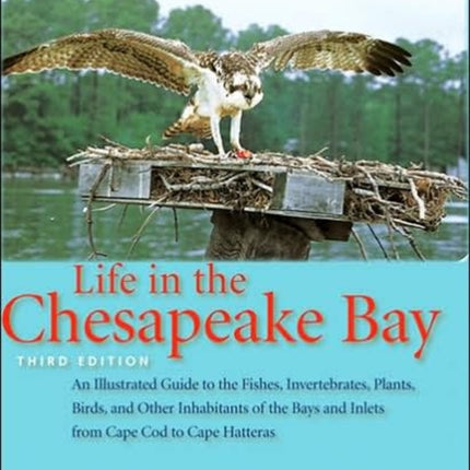 Life in the Chesapeake Bay