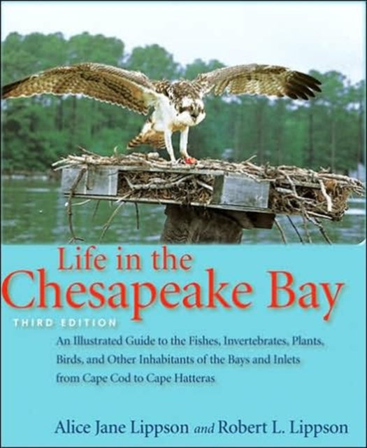 Life in the Chesapeake Bay