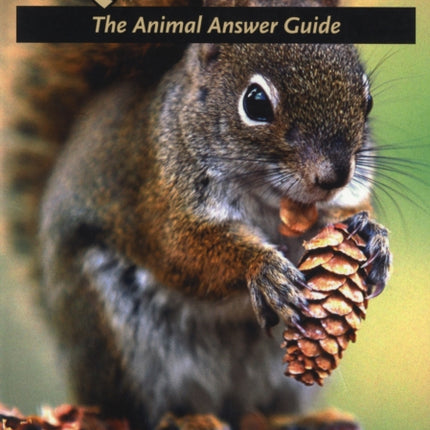 Squirrels: The Animal Answer Guide