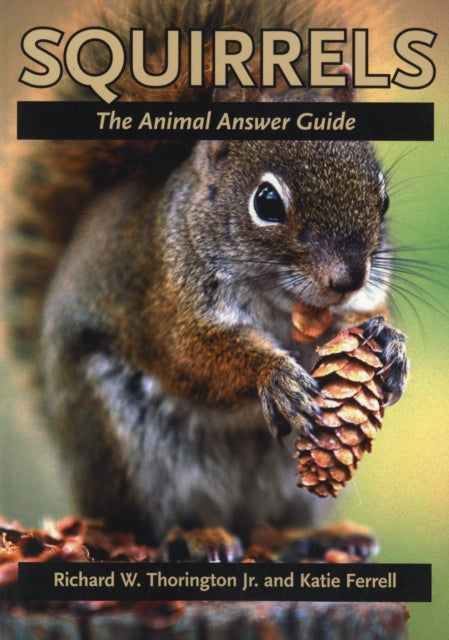 Squirrels: The Animal Answer Guide