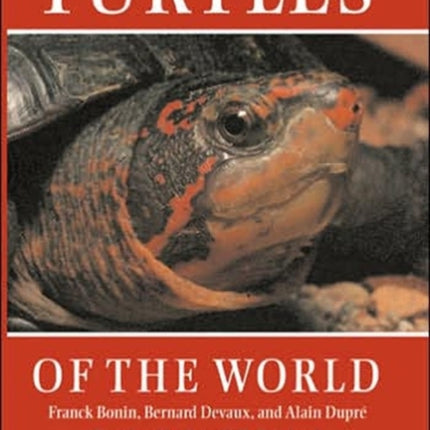 Turtles of the World