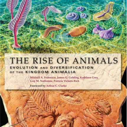 The Rise of Animals: Evolution and Diversification of the Kingdom Animalia