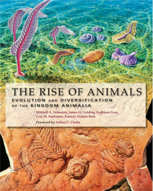 The Rise of Animals: Evolution and Diversification of the Kingdom Animalia