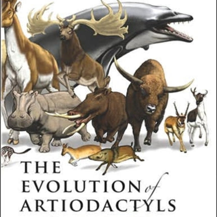 The Evolution of Artiodactyls