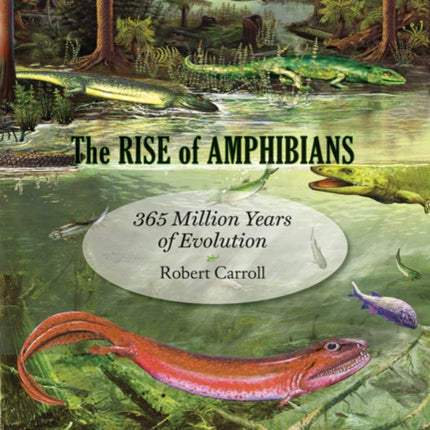 The Rise of Amphibians: 365 Million Years of Evolution