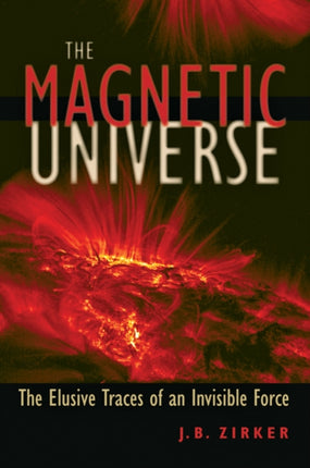 The Magnetic Universe The Elusive Traces of an